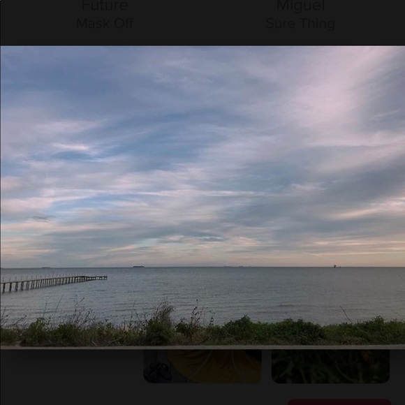 Meet your Posher, Toree - Picture 1 of 1